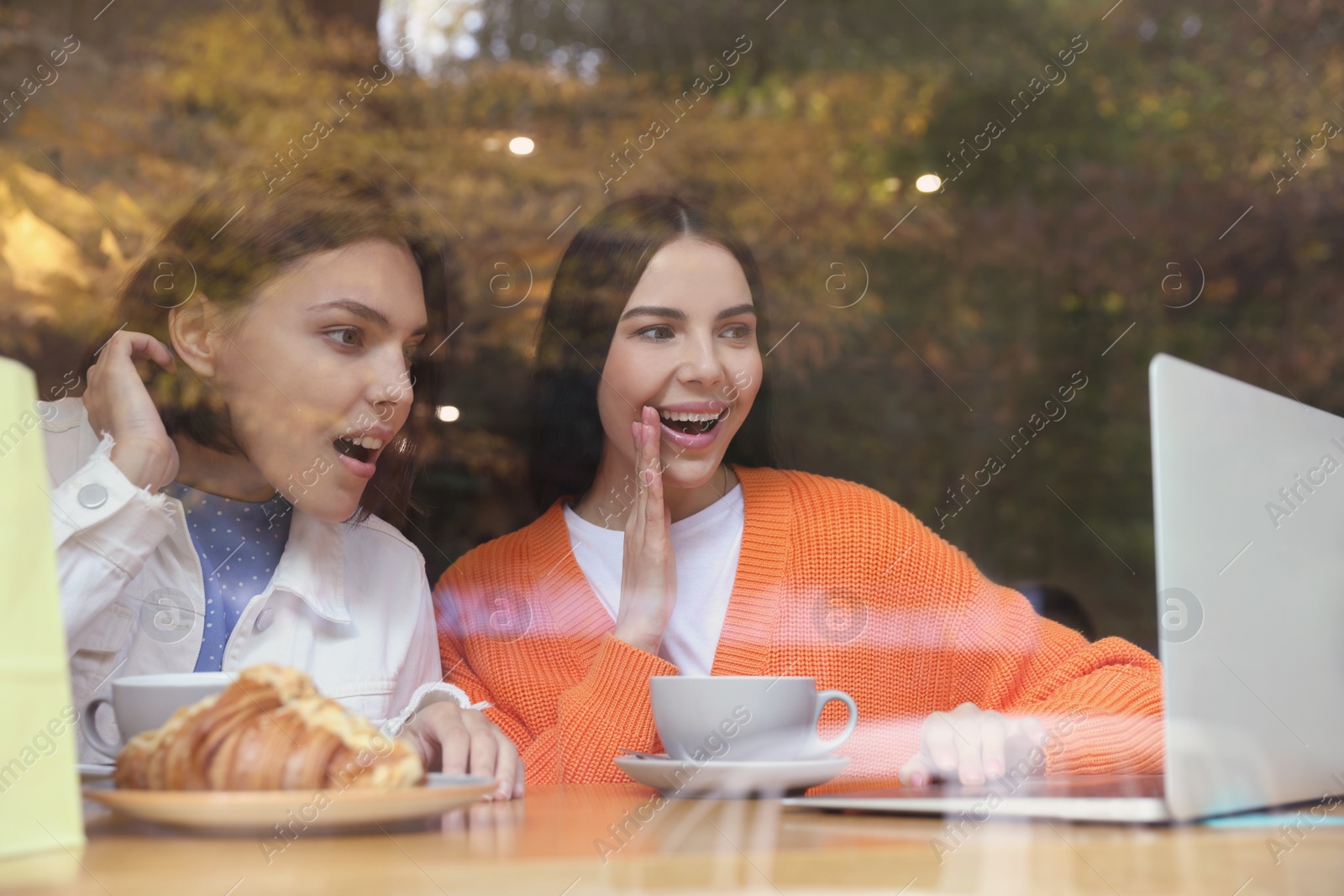 Photo of Special Promotion. Emotional young women using laptop at table in cafe, view from outdoors