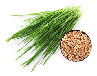 Composition with wheat grass and seeds on white background, top view