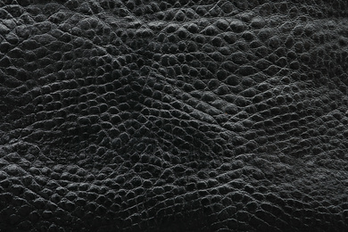 Photo of Texture of black leather as background, closeup