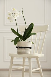 Photo of Blooming orchid flower in pot on chair near white wall indoors