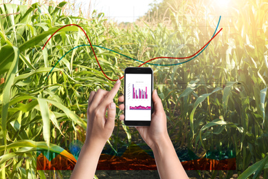 Image of Modern agriculture. Woman with smartphone in corn field and charts, closeup