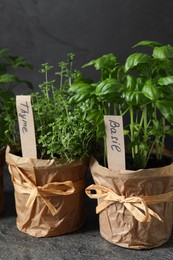 Photo of Aromatic potted thyme and basil on black textured table, closeup