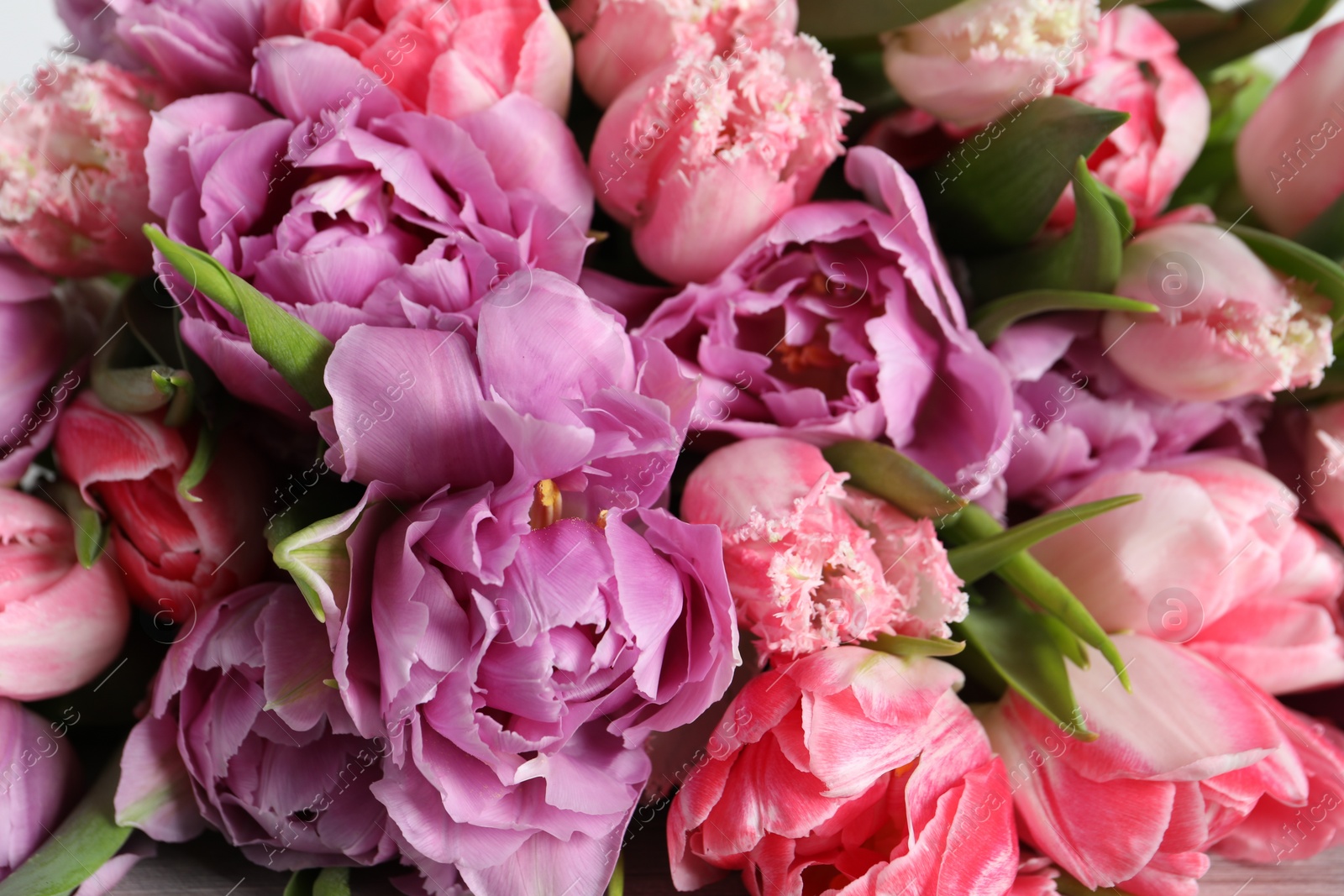 Photo of Beautiful bouquet of colorful tulip flowers, closeup