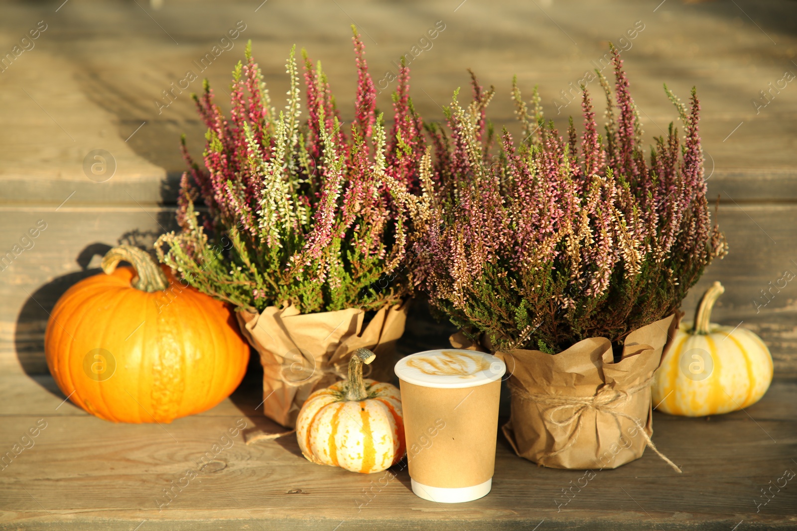 Photo of Beautiful heather flowers in pots, coffee and pumpkins on wooden surface