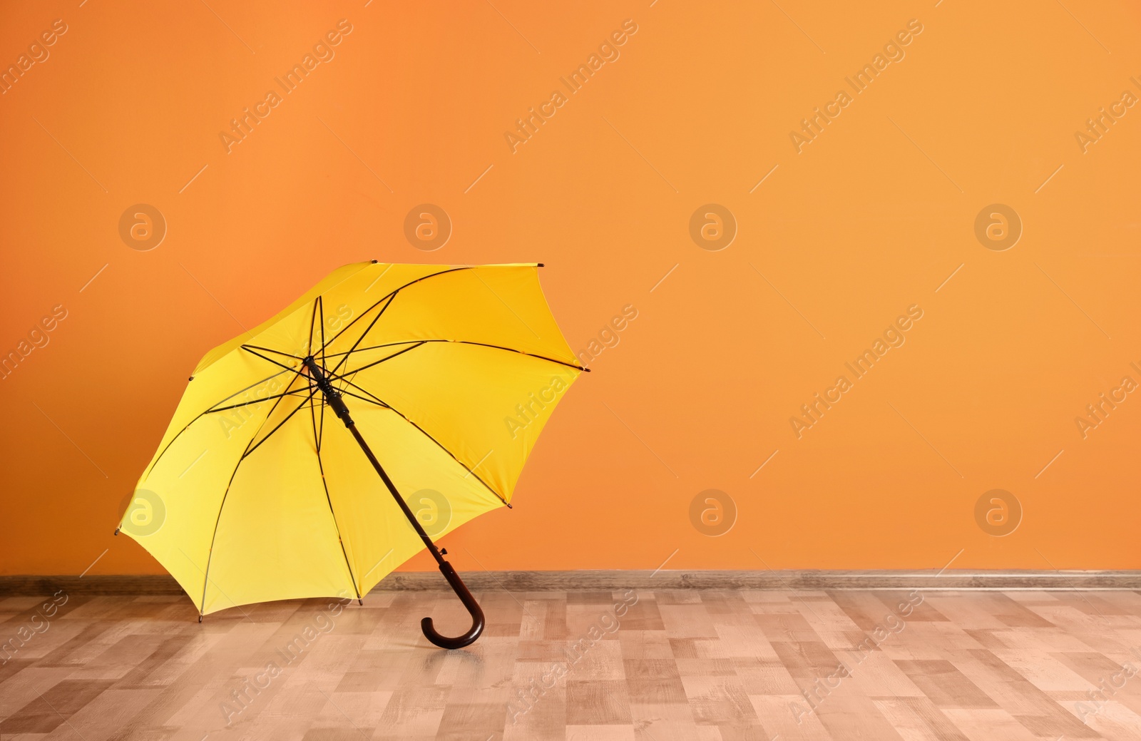 Photo of Beautiful open umbrella on floor near color wall with space for design