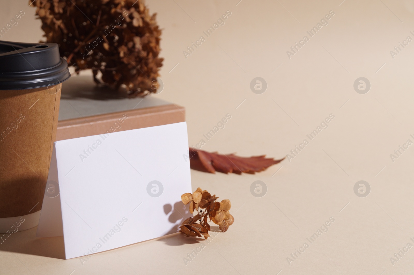 Photo of Dried hortensia flowers, sheet of paper and cardboard cup on beige table. Space for text