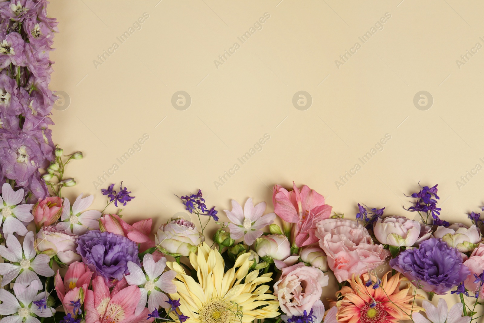 Photo of Flat lay composition with different beautiful flowers on beige background, space for text