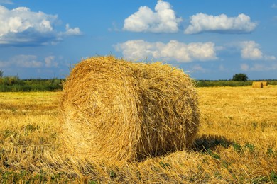 Beautiful view of agricultural field with hay bale