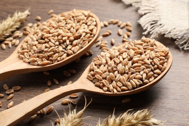 Photo of Wheat grains in spoons and spikes on wooden table, closeup