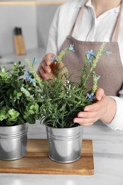 Photo of Woman near white marble table with different artificial potted herbs in kitchen, closeup