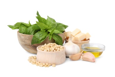 Different ingredients for cooking tasty pesto sauce isolated on white