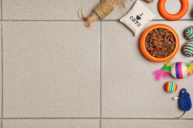 Bowl with food for cat and accessories on floor. Pet care