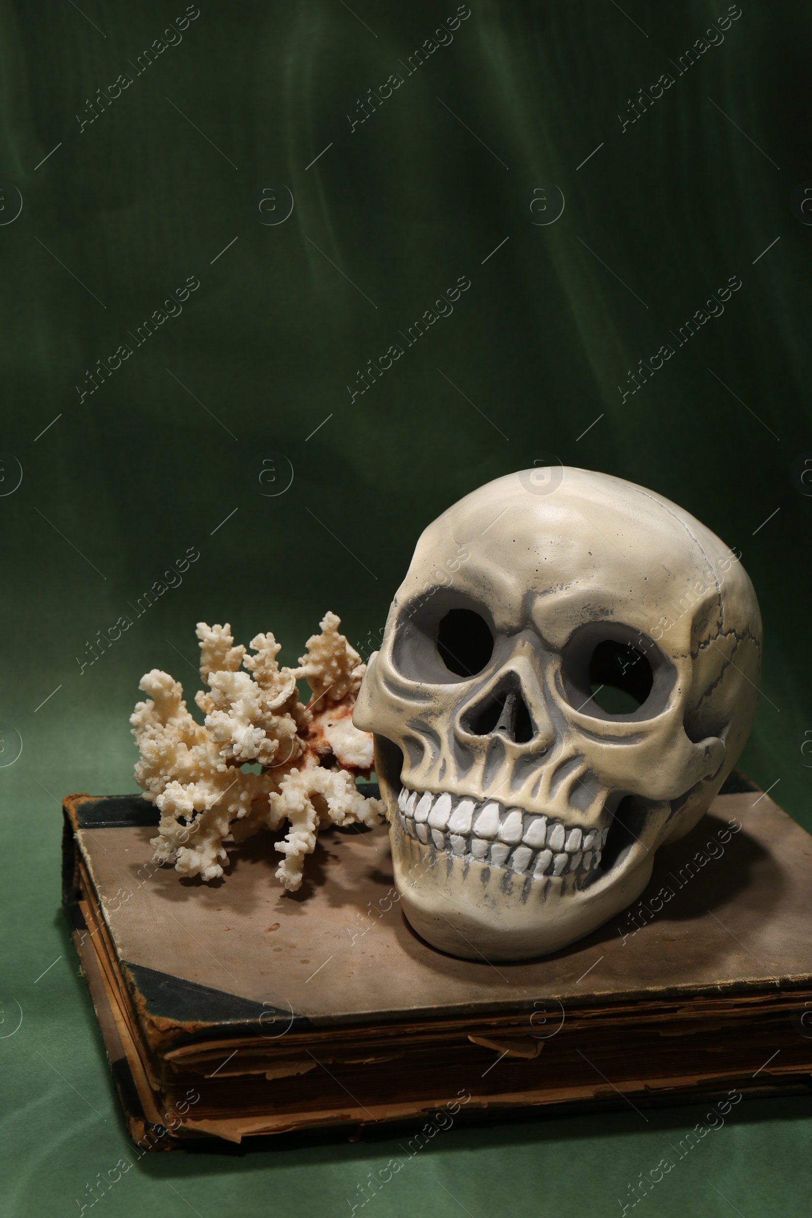 Photo of Human skull, old book and coral on dark green background