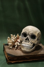 Photo of Human skull, old book and coral on dark green background