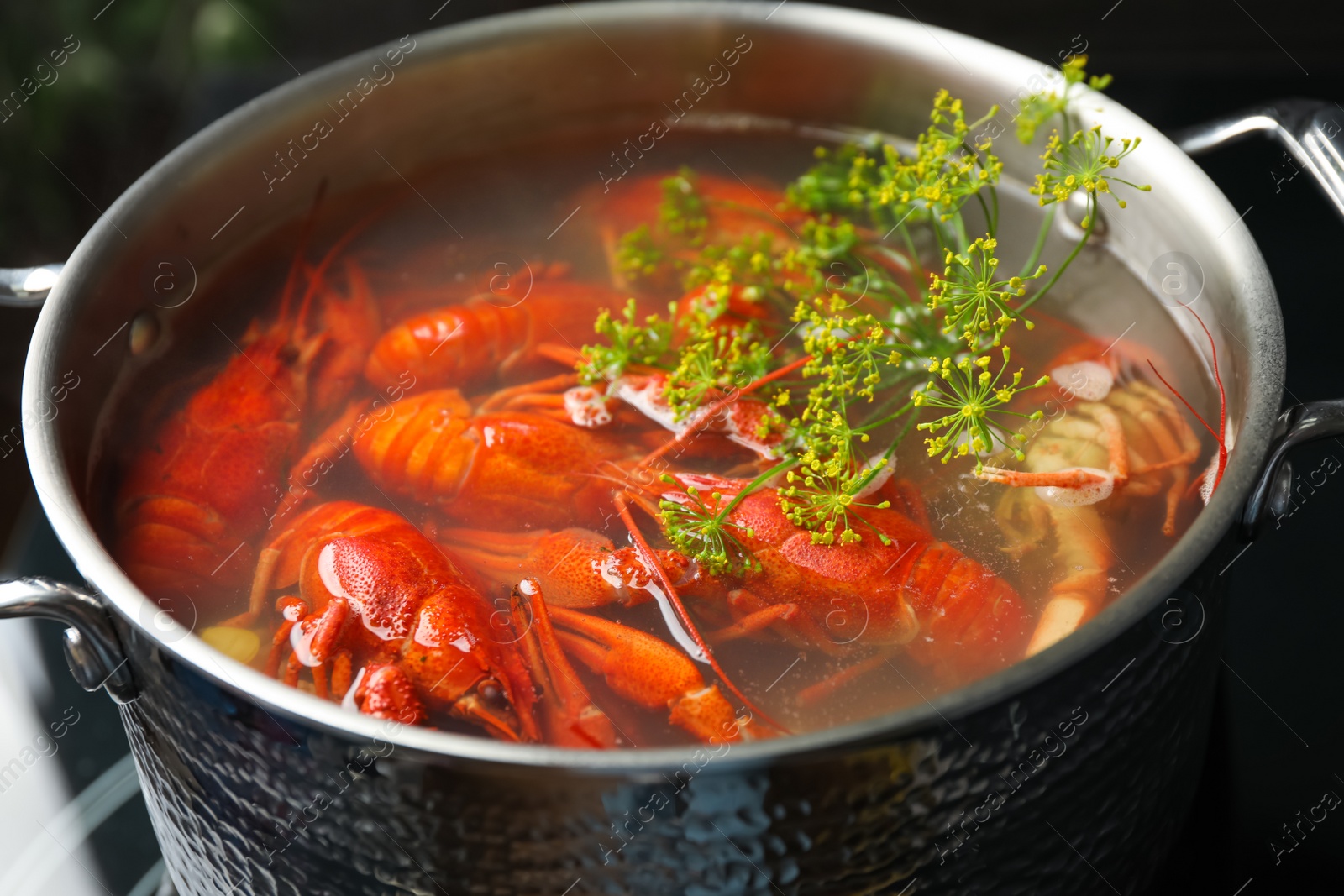 Photo of Fresh delicious crayfishes in pot, closeup view