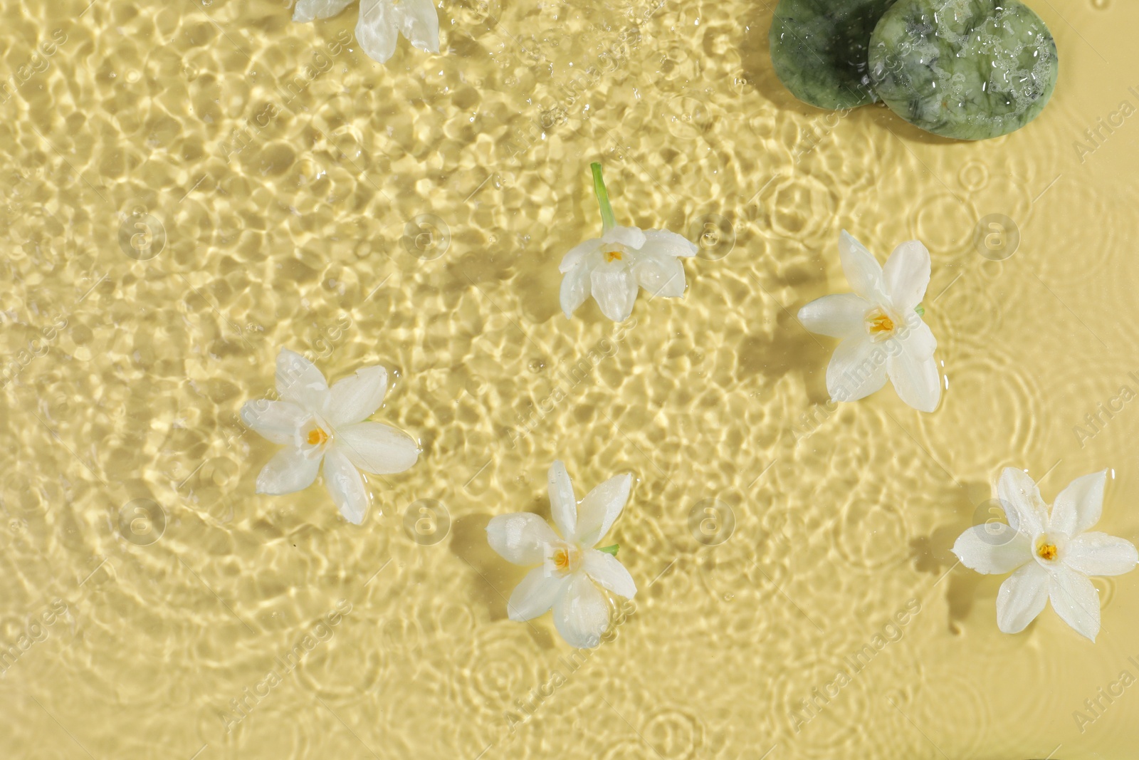 Photo of Beautiful daffodils and spa stones in water on pale yellow background, top view