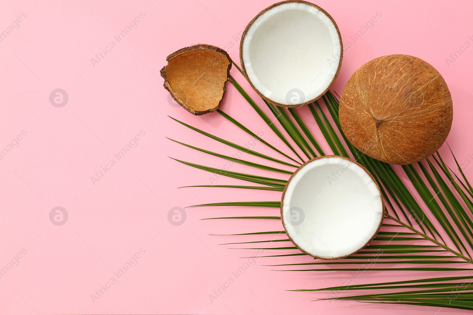 Photo of Fresh coconuts and palm leaf on pink background, flat lay. Space for text