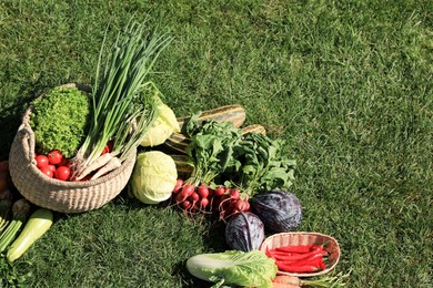 Photo of Different fresh ripe vegetables on green grass, above view