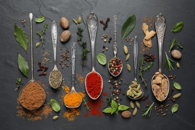 Different herbs and spices with spoons on black table, flat lay