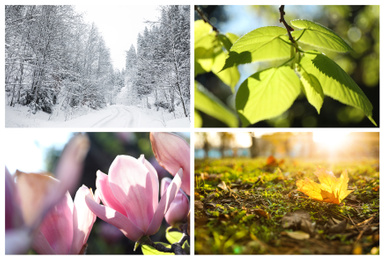 Image of Beautiful photos of nature. Four seasons collage