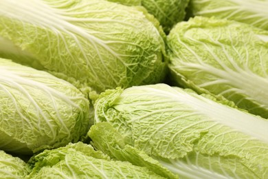 Fresh ripe Chinese cabbages as background, closeup