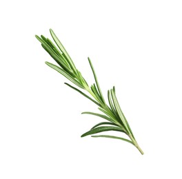 Photo of Sprig of fresh rosemary isolated on white