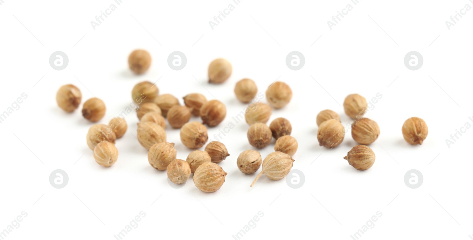 Photo of Scattered dried coriander seeds on white background