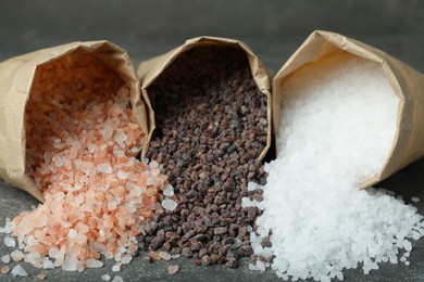 Paper bags with different kinds of salt on grey table, closeup