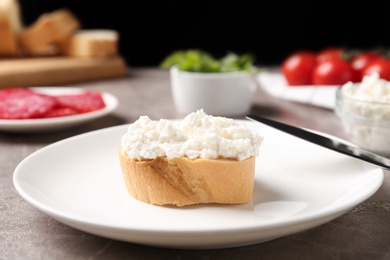 Delicious bruschetta with cheese and products on grey table