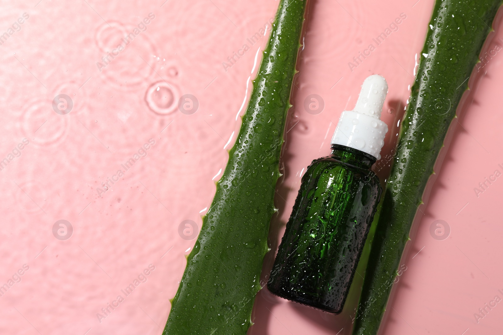 Photo of Bottle of cosmetic product and aloe leaves in water on pink background, flat lay. Space for text