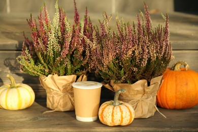 Beautiful heather flowers in pots, coffee and pumpkins on wooden surface