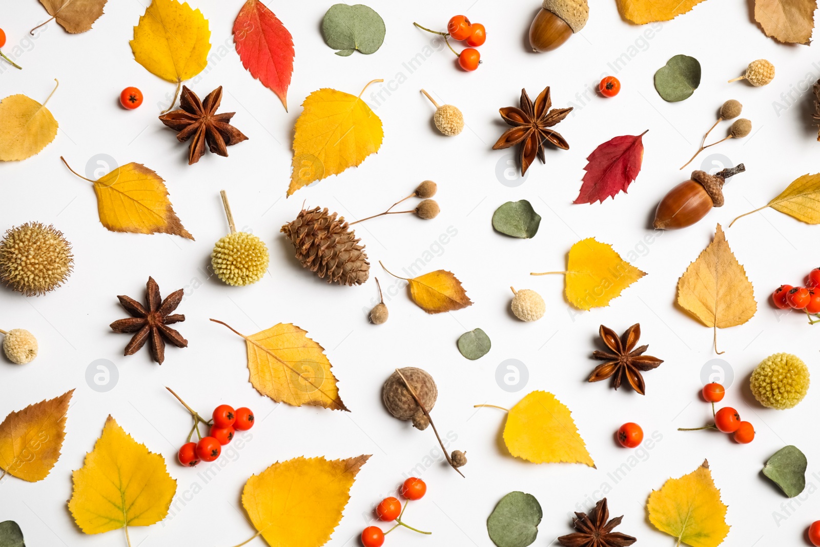 Photo of Flat lay composition with autumn leaves on white background