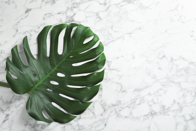 Green fresh monstera leaf on marble background, top view with space for text. Tropical plant