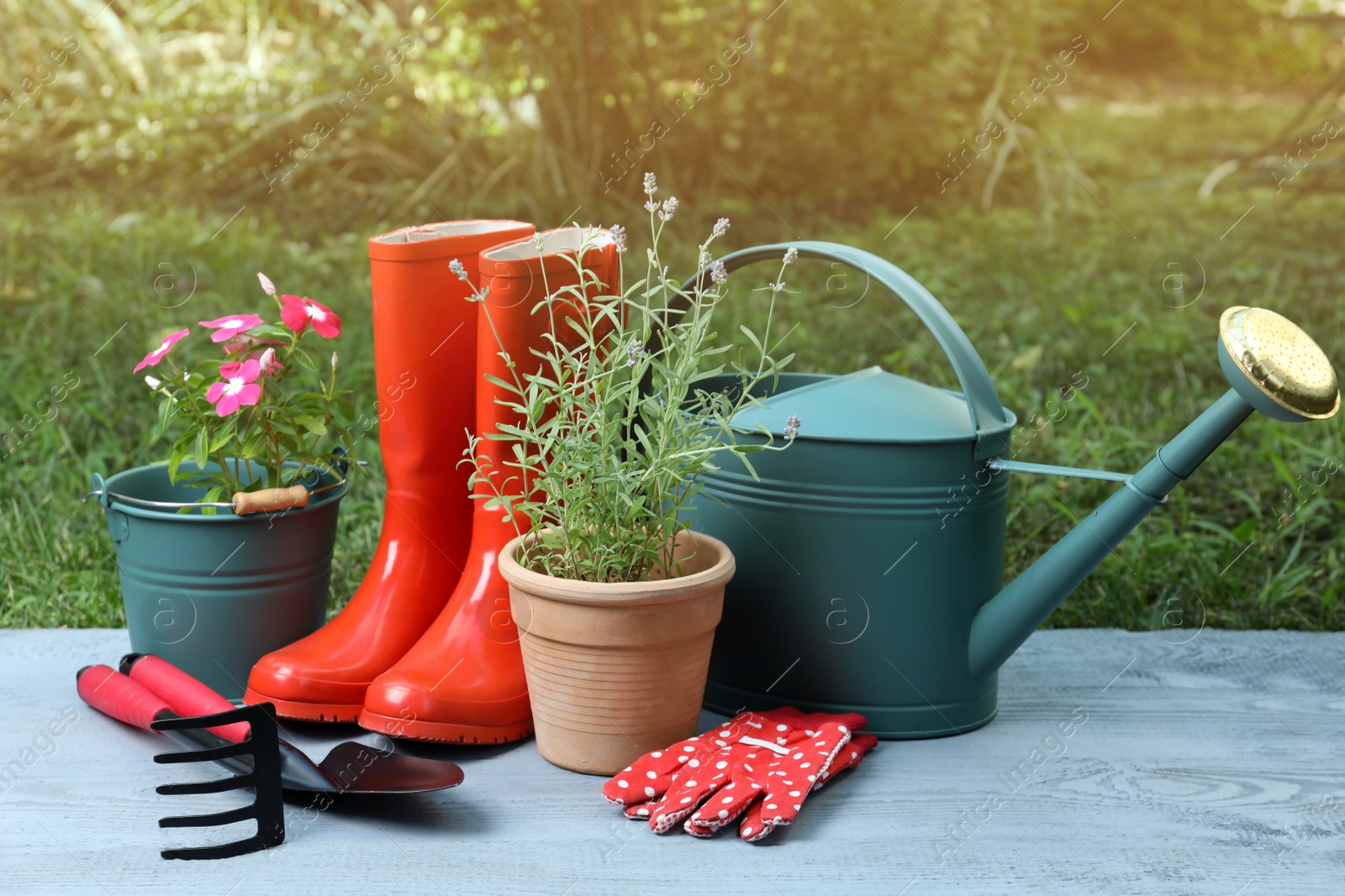 Photo of Beautiful flowers and gardening tools on grey wooden table at backyard