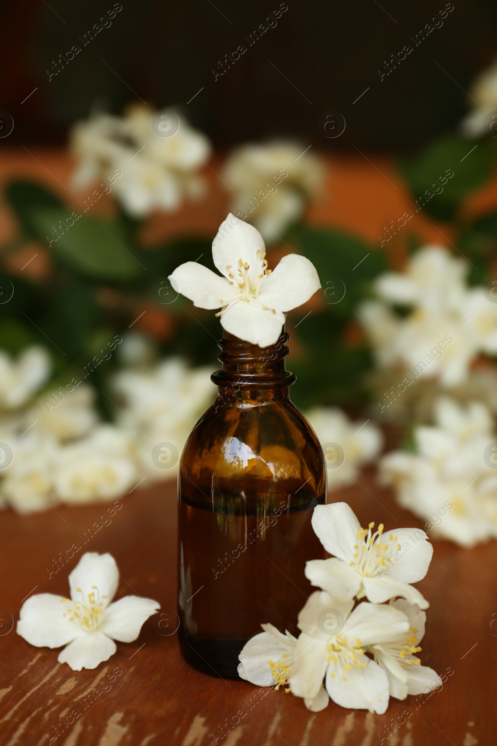 Photo of Bottle of jasmine essential oil and beautiful flowers on wooden table