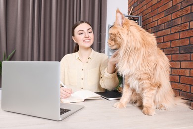 Photo of Woman with beautiful cat working at desk. Home office