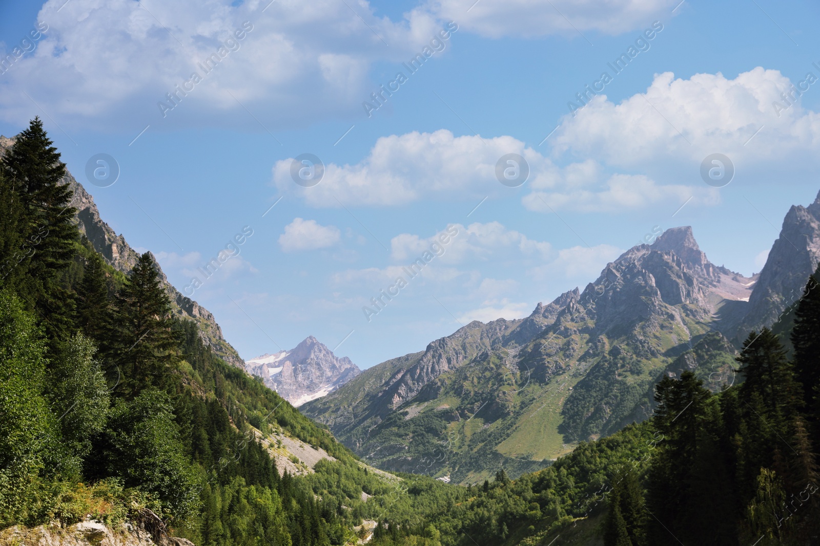 Photo of Picturesque view of trees and mountains under light blue sky outdoors, space for text