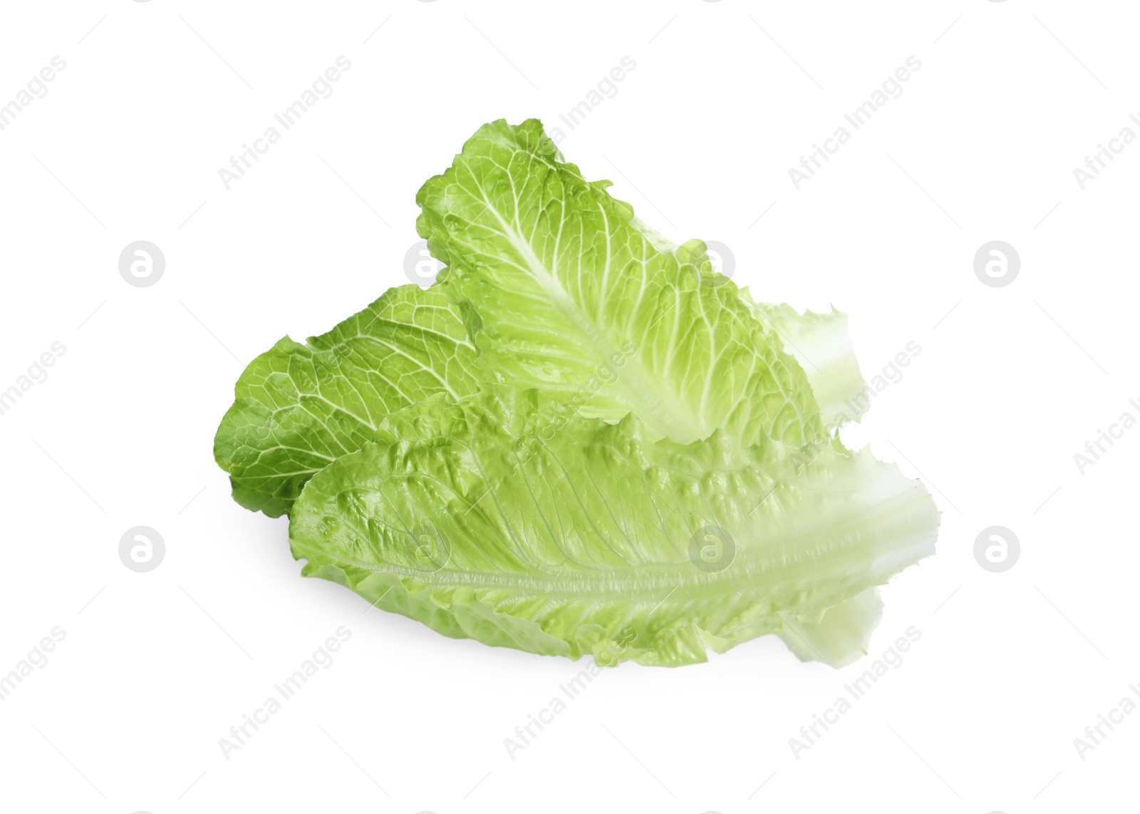 Photo of Fresh green leaves of romaine lettuce isolated on white