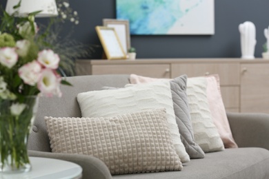 Photo of Sofa with pillows in modern living room interior