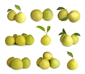 Image of Collage with fresh pomelo fruits on white background