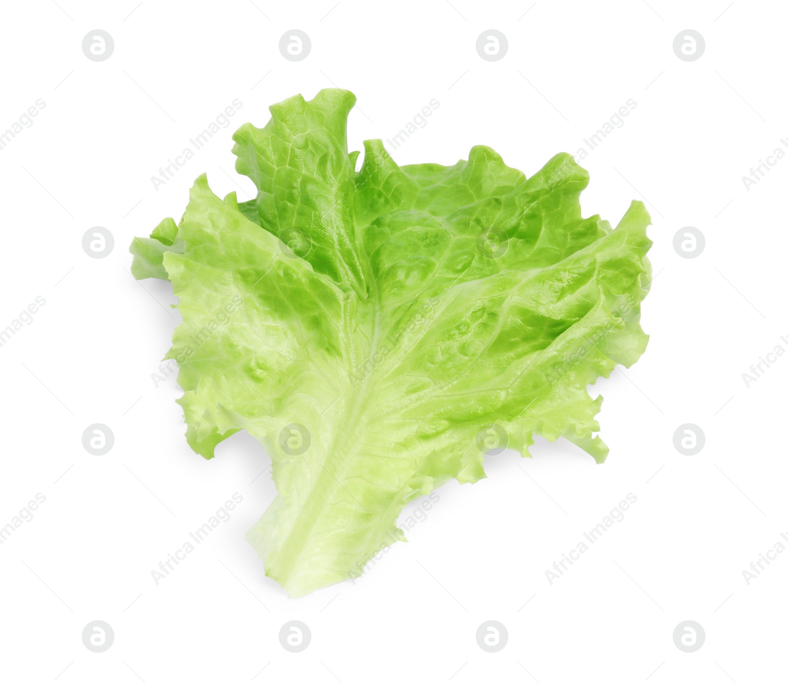 Photo of Fresh green lettuce leaf isolated on white