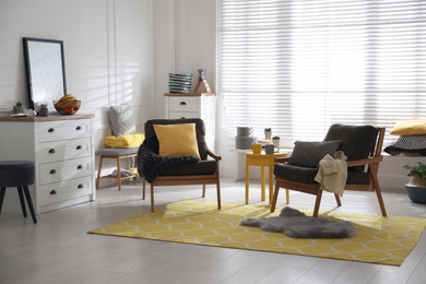 Armchairs with pillows and plaid in living room. Interior design