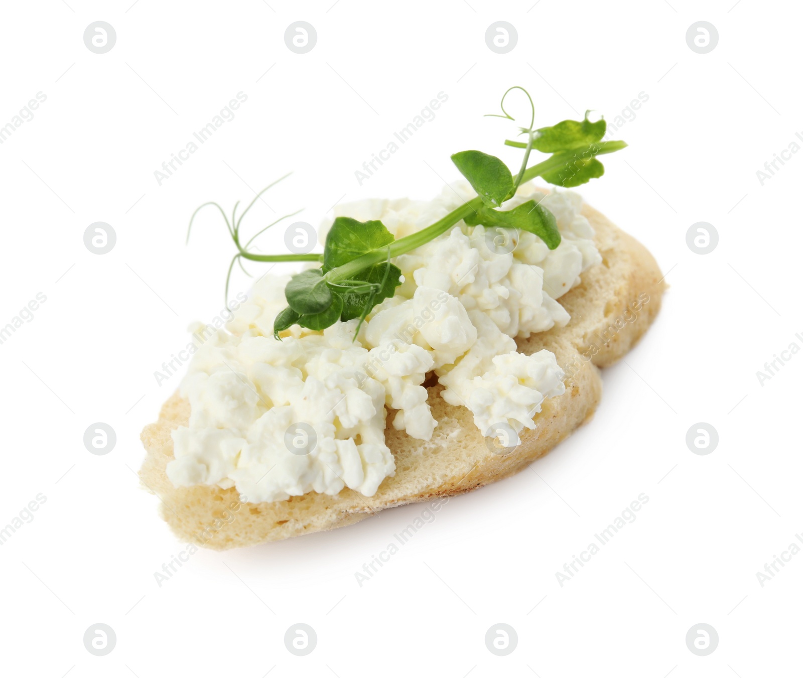 Photo of Bread with cottage cheese and microgreens on white background