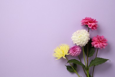 Photo of Beautiful dahlia flowers on violet background, flat lay. Space for text