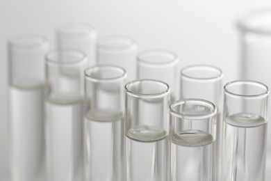 Photo of Laboratory analysis. Many glass test tubes on blurred background, closeup