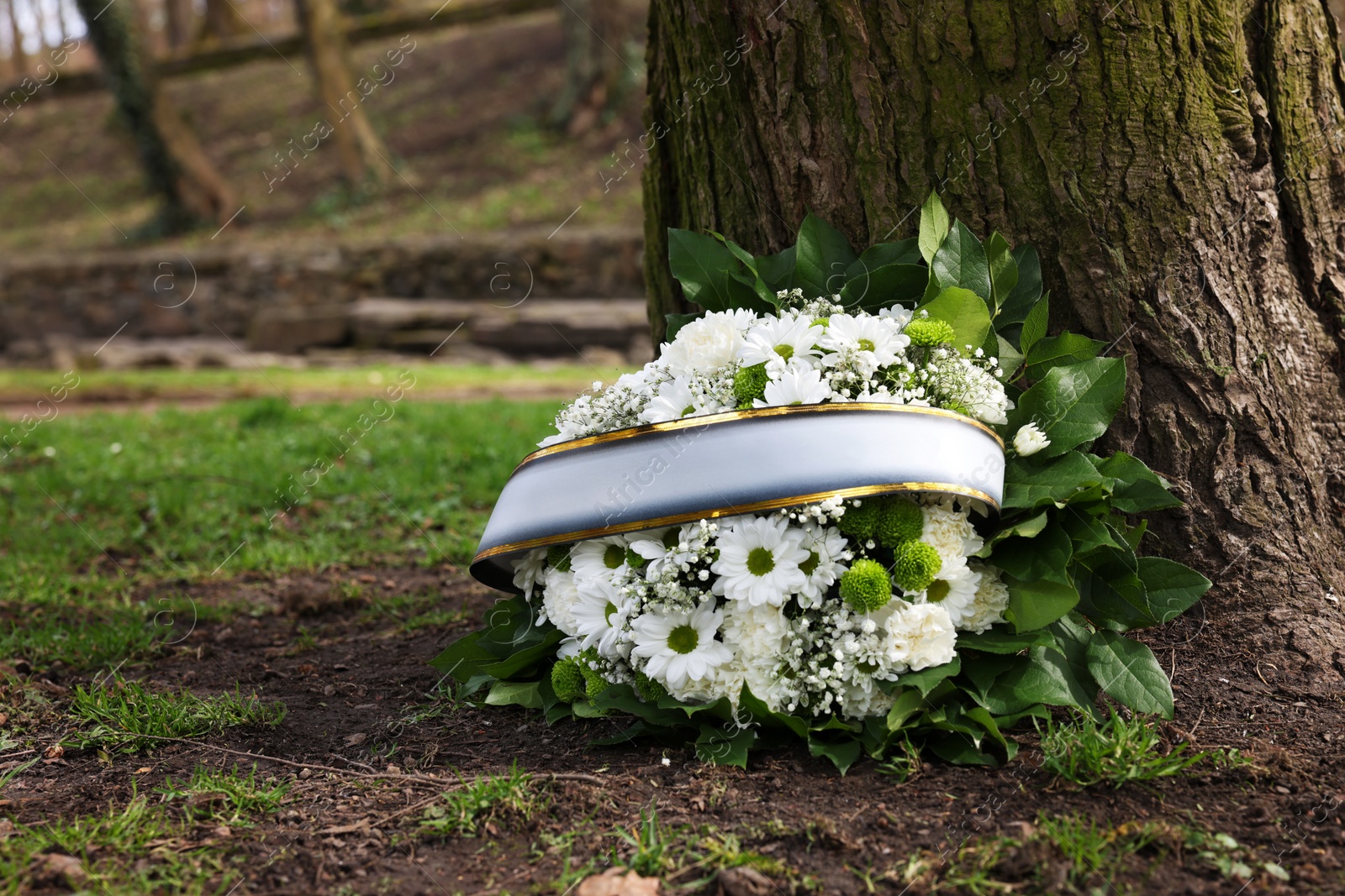 Photo of Funeral wreath of flowers with ribbon near tree outdoors