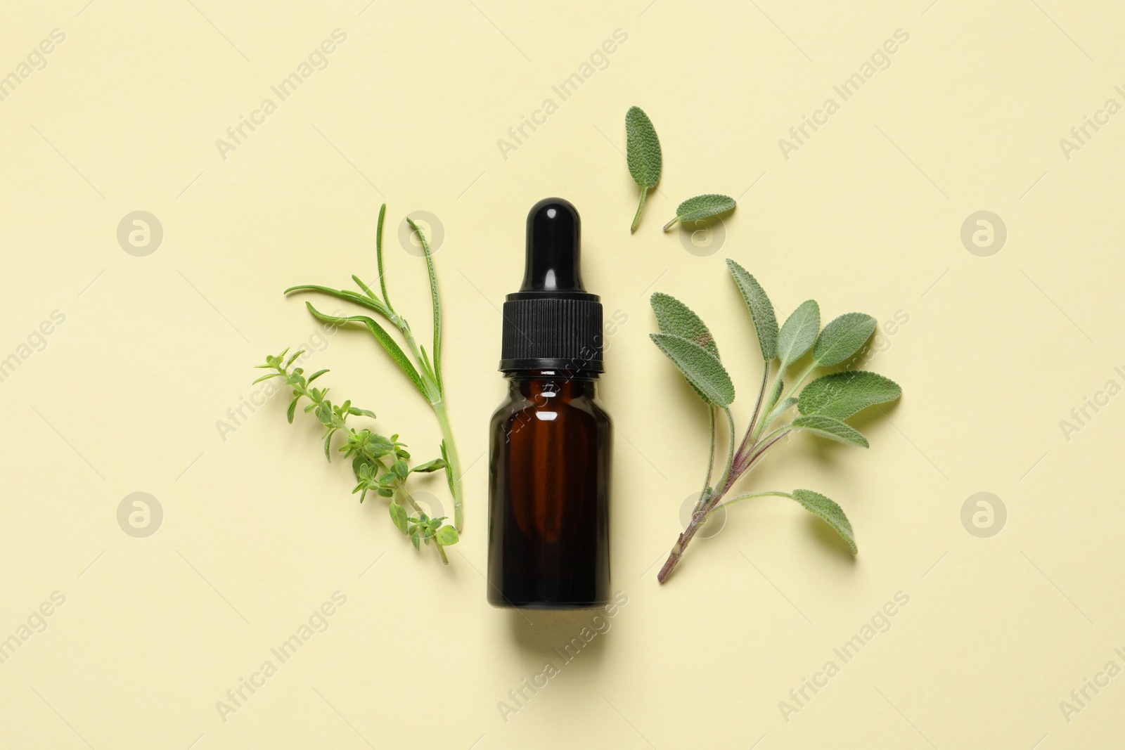 Photo of Bottle of essential oil and different herbs on beige background, flat lay