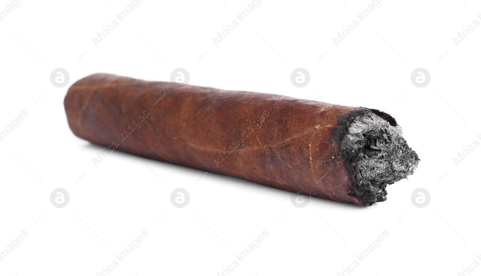 Photo of One burnt expensive cigar isolated on white