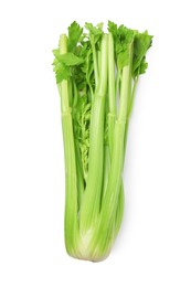 One fresh green celery bunch isolated on white, top view