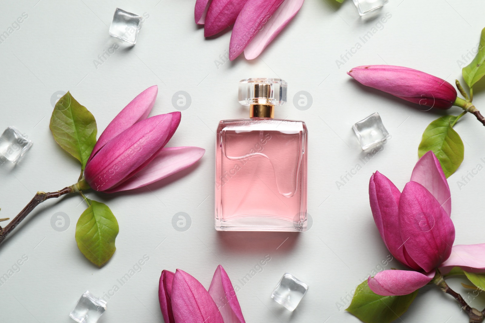 Photo of Beautiful pink magnolia flowers, bottle of perfume and ice cubes on light grey background, flat lay